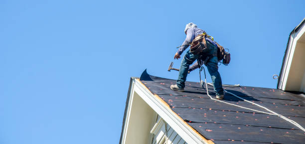Best Shingle Roofing Installation  in Belle Plaine, KS